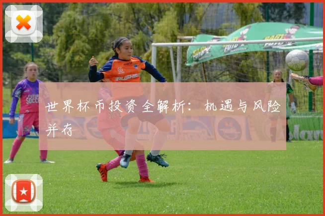 世界杯币投资全解析：机遇与风险并存