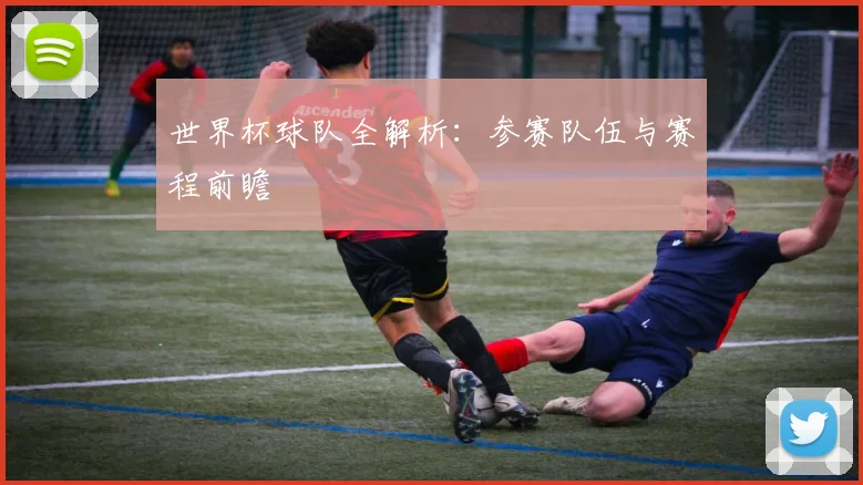 世界杯球队全解析：参赛队伍与赛程前瞻