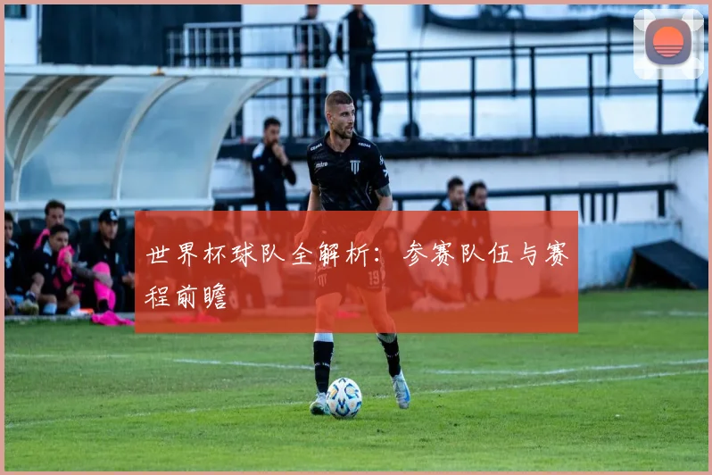 世界杯球队全解析：参赛队伍与赛程前瞻